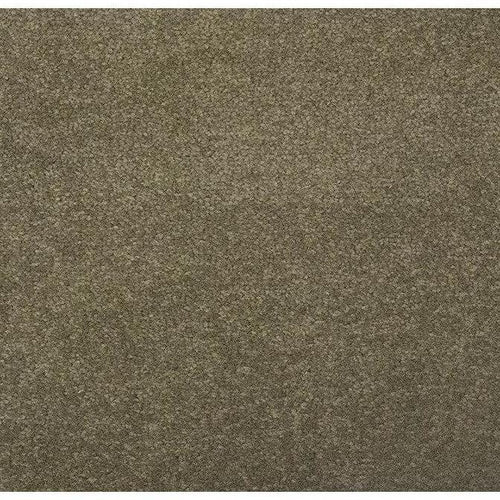 Colyford 180702-Carpet-Carpet Mills Maidstone-Carpet Mills Maidstone