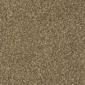 Colyford Lakes 170702-Twist Carpet-Carpet Mills Maidstone-Carpet Mills Maidstone
