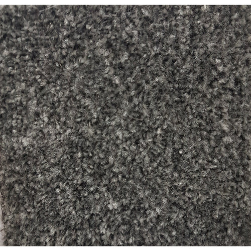 Falmouth grey wolf-Carpet-Carpet Mills-Carpet Mills Maidstone