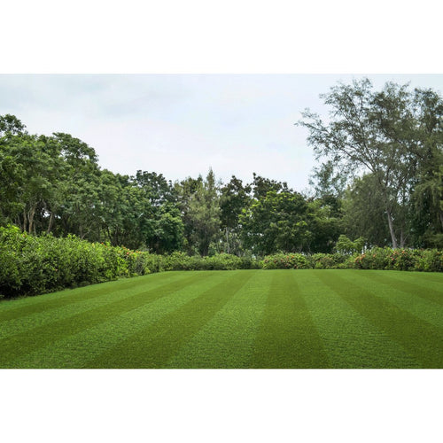Pro lawn Multi Lane-Artificial Grass-Carpet Mills Maidstone-Carpet Mills Maidstone