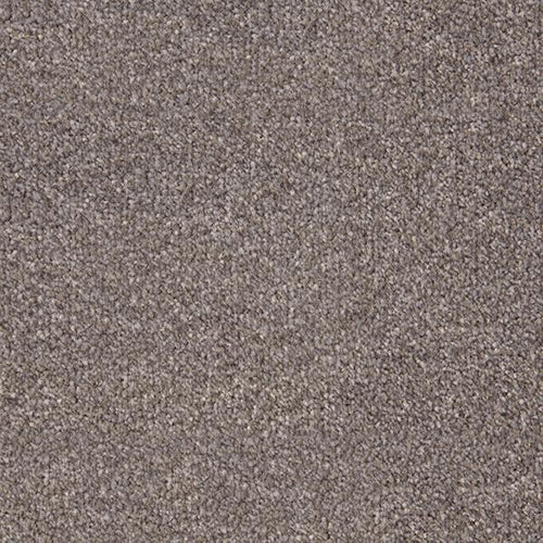 Stainfree Style French Grey-Carpet-Abingdon-Carpet Mills Maidstone