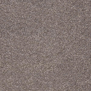Stainfree Style French Grey-Carpet-Abingdon-Carpet Mills Maidstone