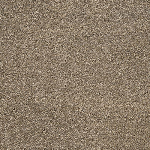Stainfree Style Latte-Carpet-Abingdon-Carpet Mills Maidstone